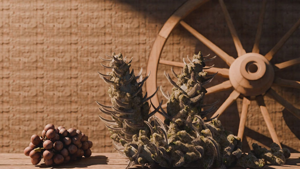 3D Flower Collection 1